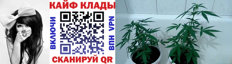 Цена Зерноград COCAIN  Меф мяу мяу  СК  мега сайт  Гашиш  Канабис 