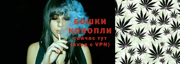 дмт Заволжск