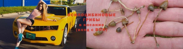 марки nbome Заволжье