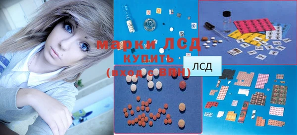 гашик Заводоуковск