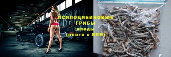 дмт Заволжск